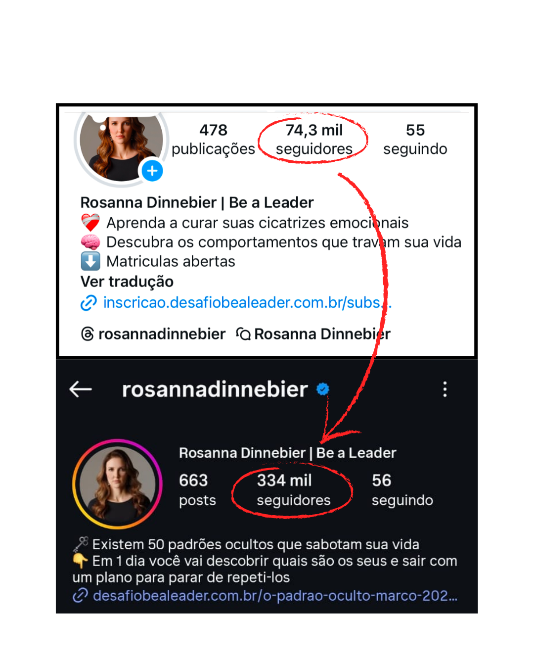 Depoimento — Rosanna Dinnebier, terapeuta, de 74.3 mil para 334 mil seguidores